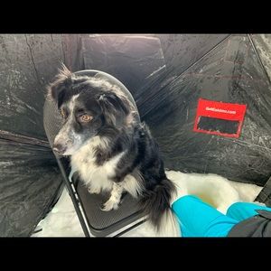 Meet your Posher, Nevada